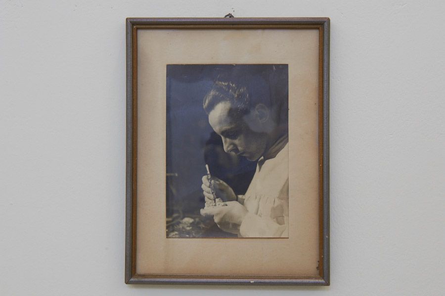 Fotogalerie - Dr. Kühnöl, Dresden